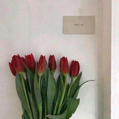 新笑傲江湖华为版下载